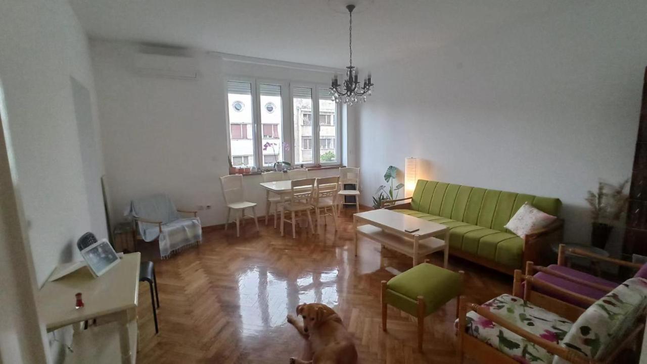 Apartment Hermes Belgrado Buitenkant foto