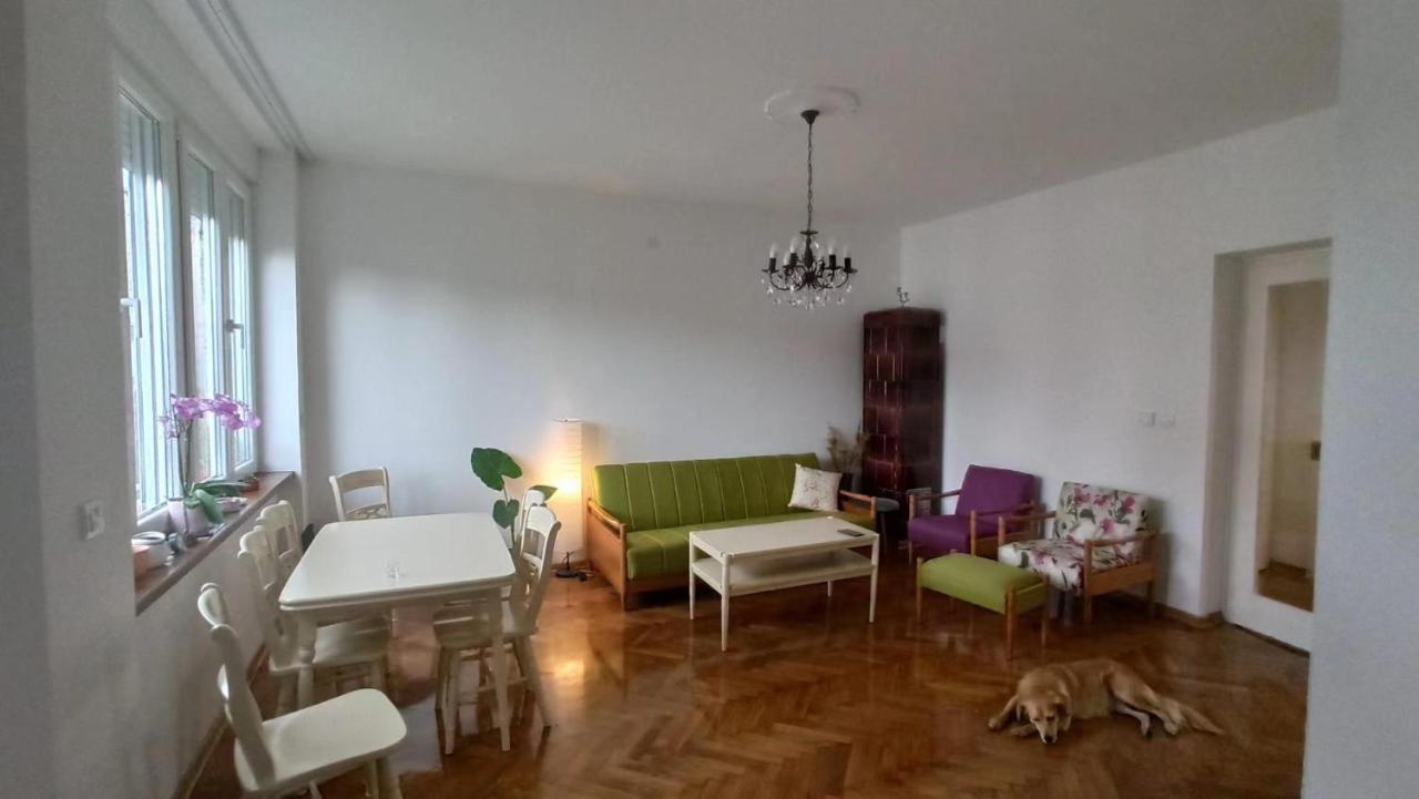 Apartment Hermes Belgrado Buitenkant foto